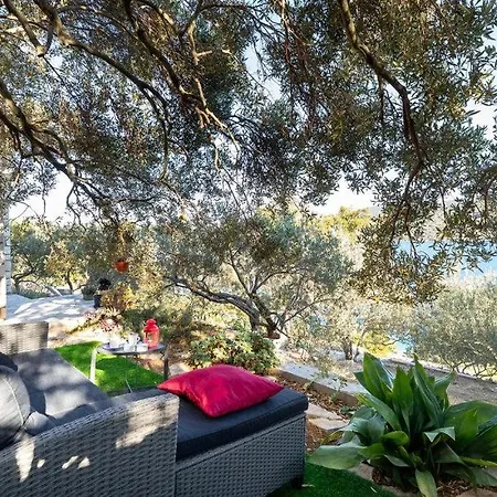 Erika By Guide ヴェラ・ルカ