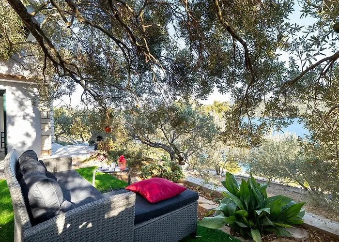 Erika By Guide Vela Luka